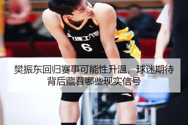 樊振东回归赛事可能性升温，球迷期待背后藏着哪些现实信号